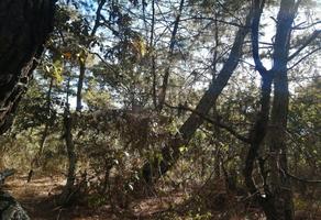 Foto de inmueble en Tzintzuntzan #Sn, Col. Tzintzuntzita C.P. 58446, Tzintzuntzan
