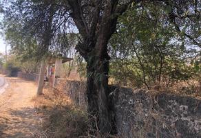 Foto de inmueble en Sin nombre de calle, Col. Amador Salazar C.P. 62776, Tlaltizapán de Zapata