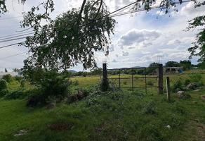 Foto de inmueble en Carretera Amayuca –Jonacatepec, Col. Amayuca C.P. 62972, Jantetelco