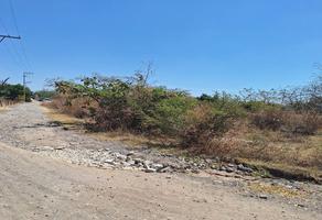 Foto de inmueble en , Col. Amayuca C.P. 62972, Jantetelco