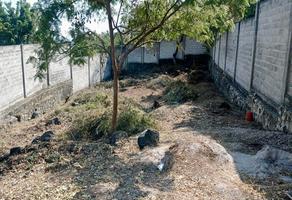Foto de inmueble en Postes de luz, Col. Ampliación 3 de Mayo C.P. 62763, Emiliano Zapata