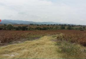 Foto de inmueble en Carretera que va al Balneario, Col. Axochiapan C.P. 62950, Axochiapan