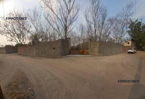 Foto de inmueble en Terreno en Venta Xochitepec Morelos, Col. Chiconcuac C.P. 62795, Xochitepec