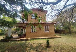 Foto de inmueble en tlayacapan, Col. De Texcalapan C.P. 62540, Tlayacapan