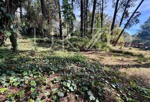 Foto de inmueble en Oyamel, Col. Del Bosque C.P. 62150, Cuernavaca