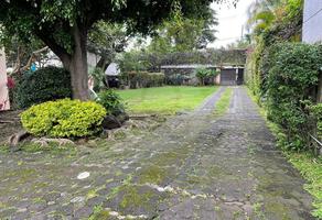 Foto de inmueble en Tulipanes, Col. Delicias C.P. 62330, Cuernavaca
