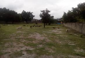 Foto de inmueble en , Col. Galeana Centro C.P. 62785, Zacatepec