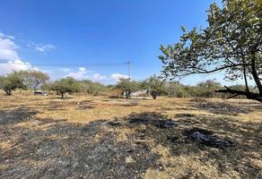 Foto de inmueble en , Col. Lagunilla del Salto C.P. 62039, Cuernavaca