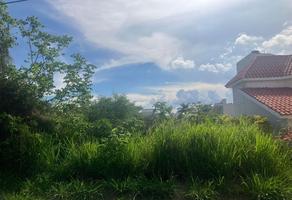 Foto de inmueble en tepozteco, Col. Lomas de Cocoyoc C.P. 62847, Atlatlahucan