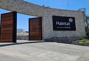 Foto de inmueble en Domingo Diez, Col. Lomas de La Selva C.P. 62270, Cuernavaca