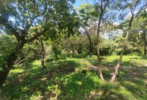 Foto de inmueble en ahuehuete, Col. Lomas de Oaxtepec C.P. 62738, Yautepec
