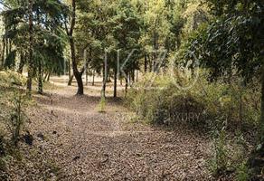 Foto de inmueble en Cuauquiahuac, Col. Los Ocotes C.P. 62520, Tepoztlán