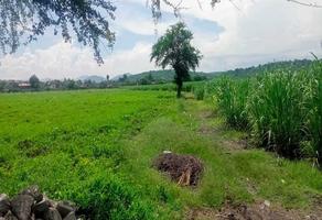 Foto de inmueble en desconocida, Col. Norte C.P. 62665, Puente de Ixtla