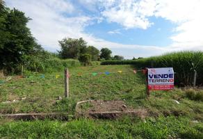 Foto de inmueble en carretera Yautepec- Tlayacapan, Col. Oacalco C.P. 62737, Yautepec