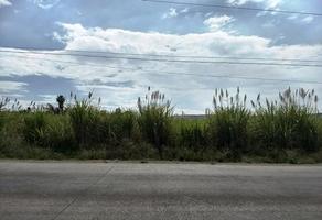 Foto de inmueble en LOS AMATES, Col. Puxtla C.P. 62755, Cuautla
