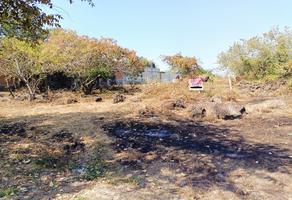 Foto de inmueble en Privada Montecarlo 4-18
Otilio Montaño
62739
Yautepec de Zaragoza, Mor., Col. Ramírez C.P. 62739, Yautepec