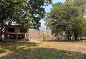Foto de inmueble en San isidro, Col. San Isidro C.P. 62739, Yautepec