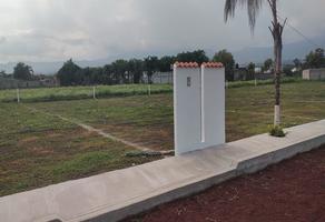 Foto de inmueble en Campo Acatlán Grande 1, Col. San Miguel Acapantzingo C.P. 62446, Cuernavaca