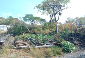Foto de inmueble en Tecolala, Col. Tetecolala (Amp. Civac) C.P. 62529, Tepoztlán