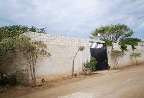 Foto de inmueble en tetelcingo #7, Col. Tetelcingo C.P. 62757, Cuautla