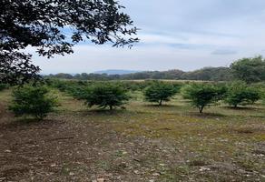 Foto de inmueble en Carretera San Gregorio-Oaxtepec, Col. Tlalnepantla C.P. 62530, Tlalnepantla