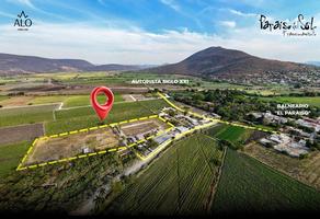 Foto de inmueble en Camino de Zacate | Campo El Chilar, Col. Tlaquiltenango C.P. 62980, Tlaquiltenango
