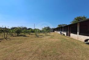 Foto de inmueble en Cuautla-yecapixtla 0, Col. Xalpa C.P. 62828, Yecapixtla