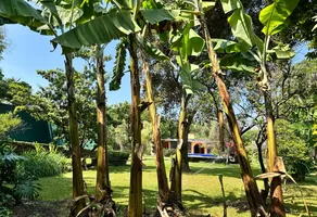 Foto de inmueble en Xochitepec, Col. Xochitepec Centro C.P. 62790, Xochitepec