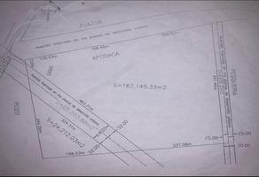 Foto de inmueble en Terreno en Venta 16.7 Hectareas Carretera Agua Fria/zuazua Apodaca Nuevo Leon, Col. Agua Fría C.P. 66620, Apodaca