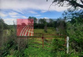 Foto de inmueble en Los sabinos, Col. Arboledas de Corregidora C.P. 67123, Guadalupe