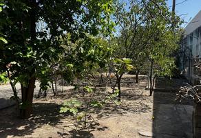 Foto de inmueble en Papagayo, Col. Cuauhtémoc C.P. 66450, San Nicolás de los Garza