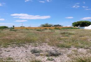 Foto de inmueble en Margaritas, Col. El Mirador C.P. 65550, Ciénega de Flores