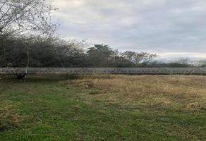 Foto de inmueble en El Terrero, Col. El Terrero C.P. 67619, Montemorelos