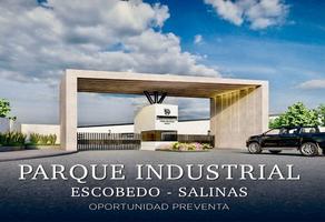 Foto de inmueble en Fidel Velázquez, Col. Joya de Castilla C.P. 65516, Salinas Victoria