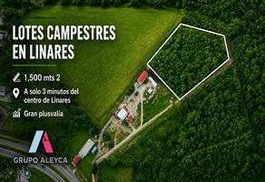 Foto de inmueble en Linares, Col. La Amistad C.P. 67713, Linares