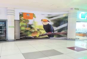 Foto de inmueble en av romulo garza, Col. La Fe C.P. 66477, San Nicolás de los Garza