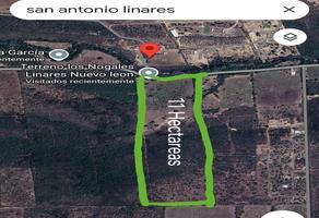 Foto de inmueble en El Salitre, Col. La Loma C.P. 67770, Linares