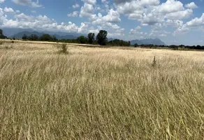Foto de inmueble en Sin nombre de calle, Col. Los Palmitos C.P. 67465, Cadereyta Jiménez
