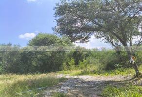 Foto de inmueble en Los Sabinos, Col. Los Sabinos C.P. 67515, Montemorelos