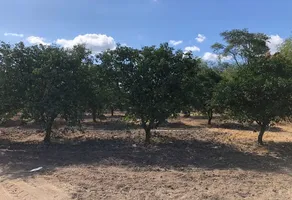 Foto de inmueble en Sin nombre de calle, Col. Misiones de Río Verde C.P. 67716, Linares