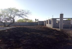 Foto de inmueble en , Col. Paseo del Norte C.P. 65500, Salinas Victoria