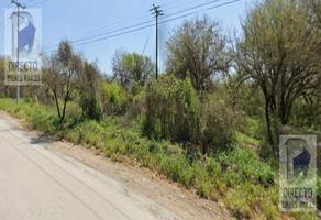 Foto de inmueble en Carretera San Roque s/n, Col. San Roque C.P. 67280, Juárez
