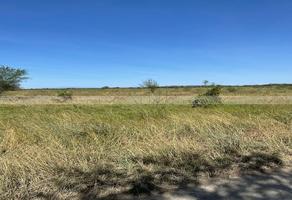 Foto de inmueble en Soledad Herrera, Col. Soledad Herrera C.P. 67475, Cadereyta Jiménez