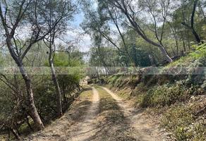 Foto de inmueble en Lazarillos de Abajo, Col. Valle los Naranjos C.P. 67350, Allende
