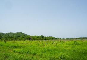 Foto de inmueble en Poblado los Bajos del Arenal, Col. Bahías de Huatulco C.P. 70982, Santa María Huatulco