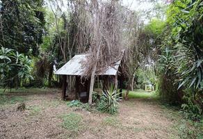 Foto de inmueble en Paraje del monte, Col. Del Niño C.P. 71310, Villa de Zaachila