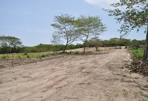Foto de inmueble en Sin nombre de calle, Col. El Rosedal C.P. 70937, Santa María Colotepec