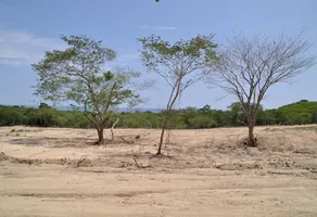 Foto de inmueble en Playa Tierra Blanca, 70937 Oax. #S/N, Col. El Tomatal C.P. 70937, Santa María Colotepec