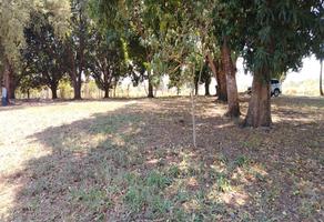 Foto de inmueble en Venta de Terreno en Colonia Insurgentes por Reclusorio en Tuxtepec Oaxaca., Col. Insurgentes C.P. 68334, San Juan Bautista Tuxtepec