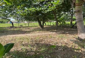 Foto de inmueble en Venta de Terreno en Colonia la Moderna en Tuxtepec Oaxaca, Col. La Moderna C.P. 68334, San Juan Bautista Tuxtepec
